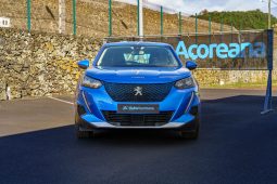 
										Peugeot e-2008 full									