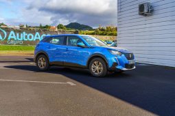 
										Peugeot e-2008 full									