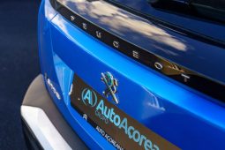 
										Peugeot e-2008 full									