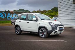 
										Fiat Panda full									