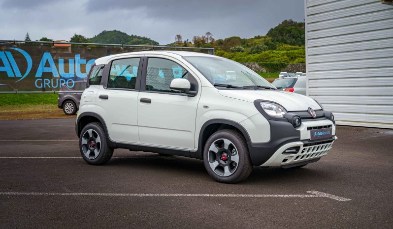 
								Fiat Panda full									