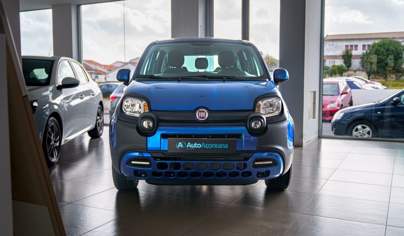 
								Fiat Panda full									