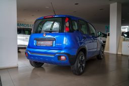 
										Fiat Panda full									