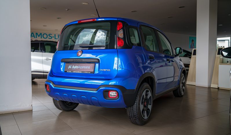 
								Fiat Panda full									
