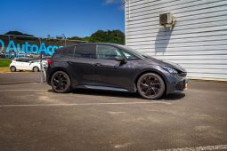 
										Cupra Born full									