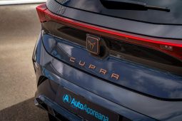 
										Cupra Born full									