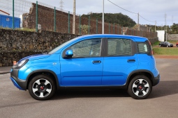 
										Fiat Panda Cross full									