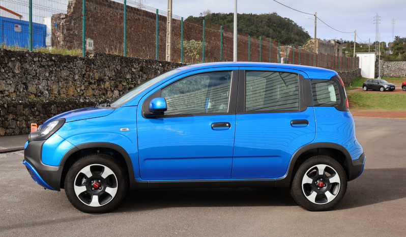 
								Fiat Panda Cross full									